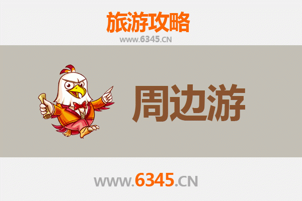 济宁金乡周边游攻略：探寻蒜都风情与人文古迹